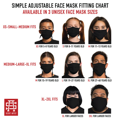 Secret Artist Assorted 5-Pack Non-Pleated Graphic/Black Reversible Cloth Face Masks